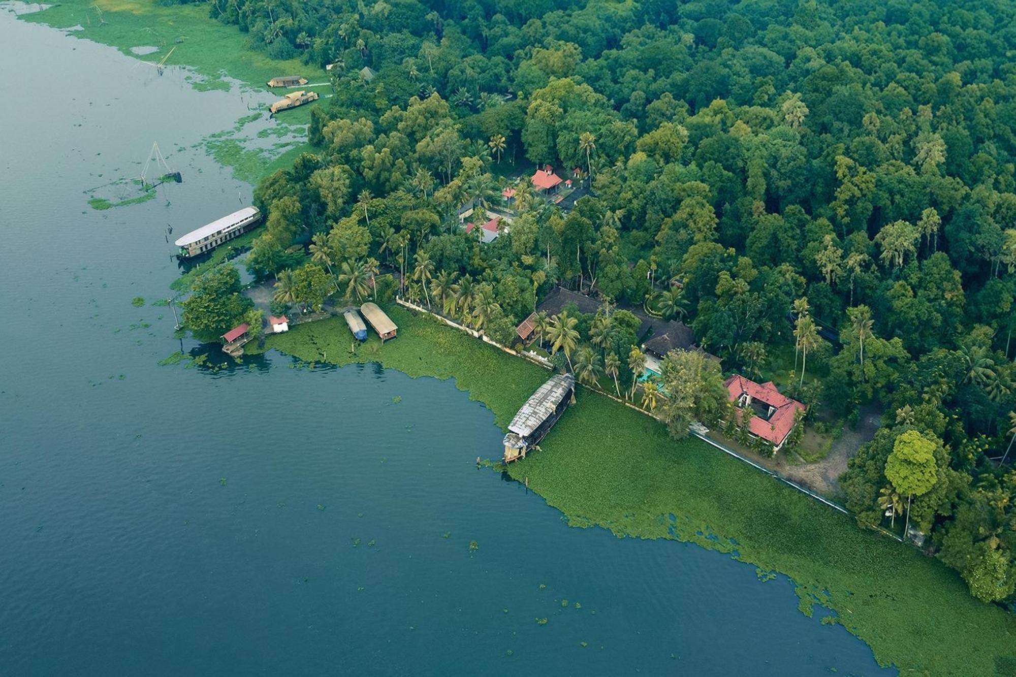 Blusalzz Villa - Muhamma, Alleppey - Kerala Alappuzha Eksteriør billede